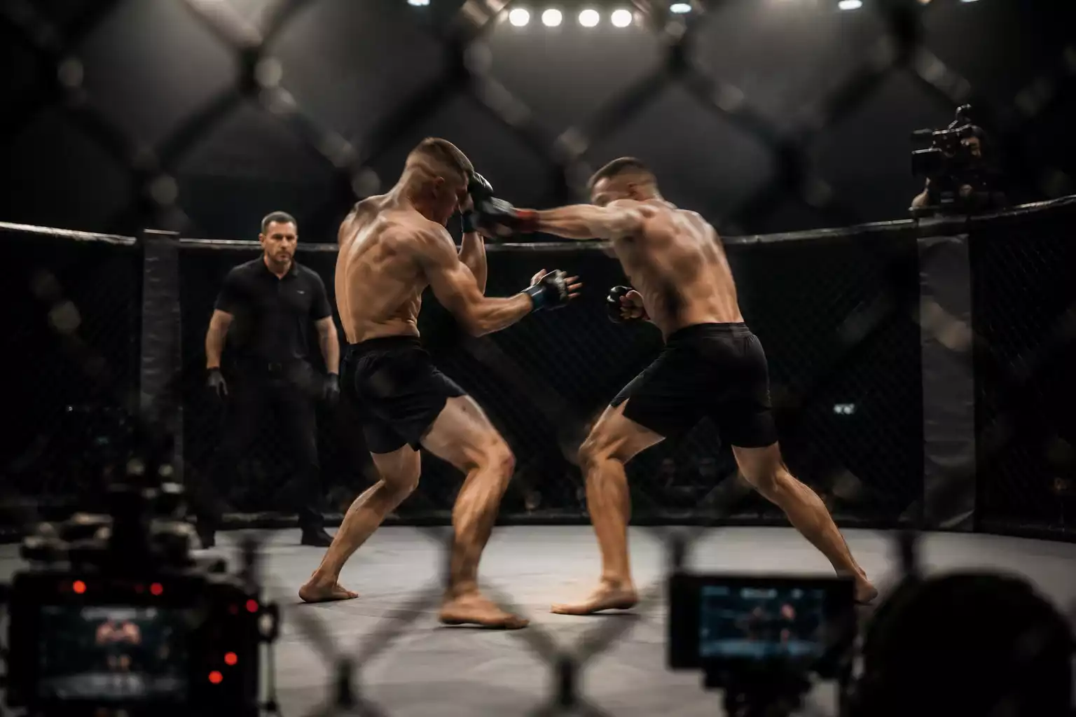 Nahaufnahme eines UFC-Kampfes im Oktagon mit Ringrichter und Kameras